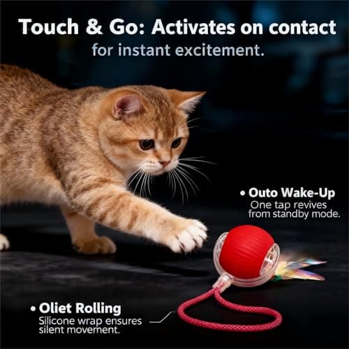 Interactive Cat Toy for Indoor Cats - Automatic Cat Toy Ball with Tail, Self Moving Electric Kitten Toys, USB Rechargeable Smart Rolling Ball, Motion Activated Cat Enrichment Toys for Bored Cats Red - Thumbnail 6