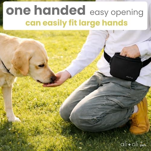 Ali+Oli Pets Dog Treat Pouch for Training, Silicone, 2 Cup Capacity - Thumbnail 6