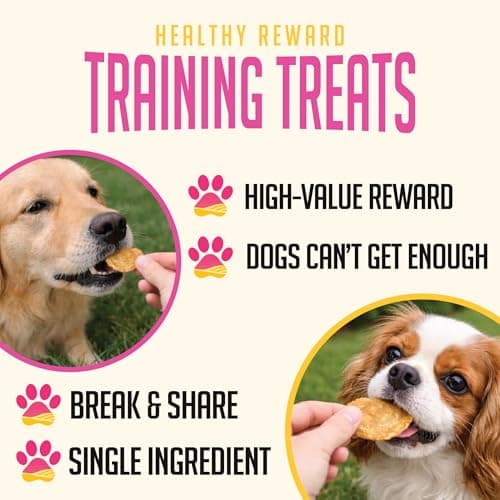 SitStay Chicken Chips Dog Treats - Travel Packs, Single Ingredient Dog Treat, Chicken Chips for Dogs for Training, Rewards and Sensitive Stomachs - Made in USA - 3 Bags - 5 Chips Each - Thumbnail 3
