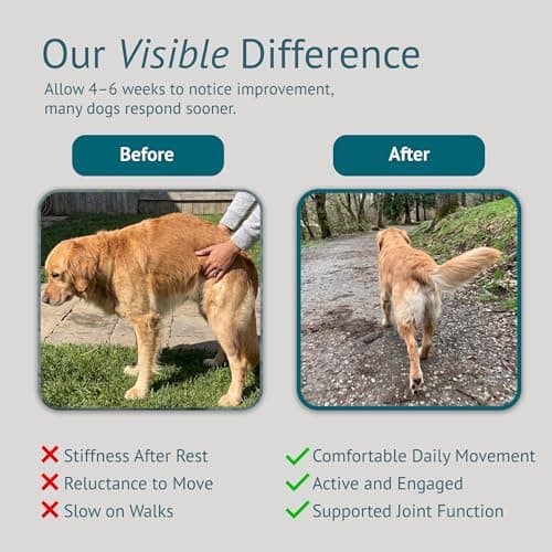 VetsLeaf Hip and Joint Supplement for Dogs - Glucosamine, Chondroitin & MSM with Collagen, Boswellia & Devils Claw - 6g Per Chew - Made in USA - 60 Count - Thumbnail 5