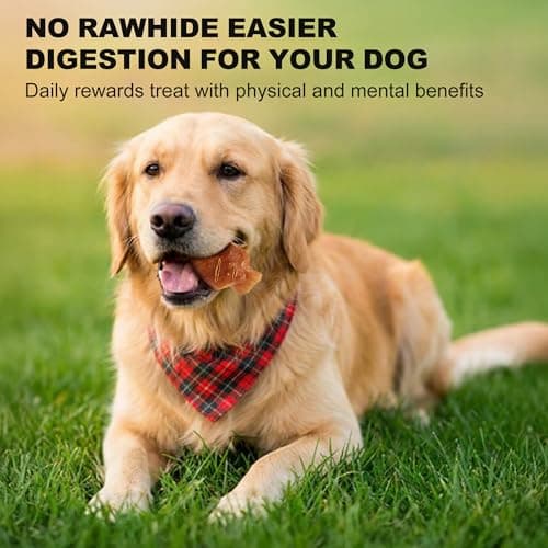 PETPHABET Rawhide Free Dog Chew Bones - Grilled Pork Hock Dog Chews for Small Medium Breeds, Healthy Puppy Treats for Training & Teething, Made with Real Chicken, Natural Smoky Flavor, 12 Count - Thumbnail 5
