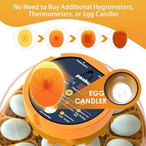16 Duck Eggs Incubator with App Control, Chicken Incubators for Hatching Eggs with Humidity Control, Small Incubator for Holding Extra Poultry Eggs with Custom Mode, Automatic Incubator for Beginner - Thumbnail 5
