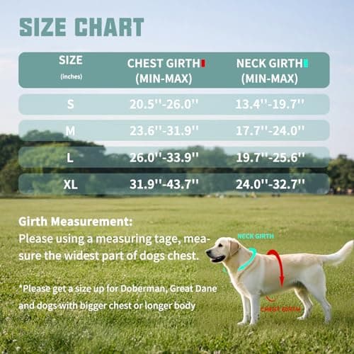 AUROTH Dog Harness No Pull Soft Padded Service Dog Vest, No Choke, Easy On Pet Vest with Handle, Adjustable Reflective Dog Harness for Small, Medium and Large Dogs, Easy Walking and Training - Thumbnail 6