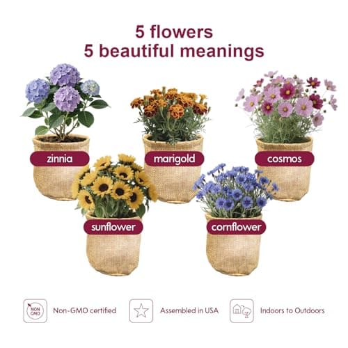 Herbsy 5 Indoor Flower Growing Kit, Complete Planting Starter Set with Sunflower, Zinnia, Marigold, Cosmos, Cornflower Seeds, Unique Birthday and Christmas Gifts for Women, Men, Plant Lovers - Thumbnail 2