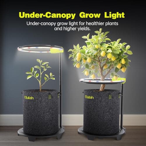 Elufah Saturn240 Under Canopy LED Grow Light, 24W Full Spectrum Grow Lights for indoor plant Seeding/Veg/Bloom Stage, Adjustable Height 12‘’-22‘’, 3-in-1Controller Plant Lamp for Grow Tent, Greenhouse - Thumbnail 6