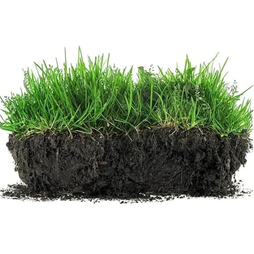 Viresta Soil Revitalizer - Viresta S-Oil Activator for Plants, Lawn & Garden Soil Conditioner - Plant Food Enhancer, Concentrated Humic Acid Formula - Promotes Root Growth & Nutrient Uptake (1Pcs) - Thumbnail 4