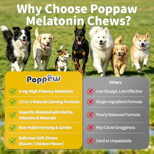 Melatonin for Dogs - Advanced Dog Calming Chews for Restful Sleep & Emotional Support, Calming Treats for Dogs Relaxation, Stress Anxiety Support - Separation, Thunder, Fireworks, Bacon Flavor, 90Ct - Thumbnail 5