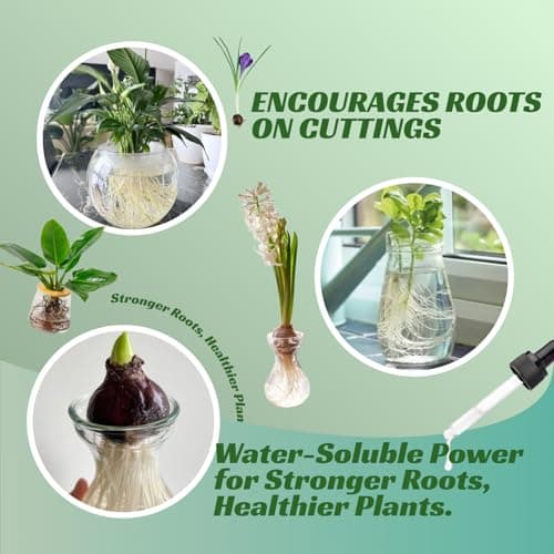 Viresta Prop Drops - Propagation Drops to Promote Healthy Root Growth, Root Drops for Less Shock, Works in Water Soil Leca, for All Indoor Houseplants Like Pothos, Monstera, Philodendron (1Pcs) - Thumbnail 4