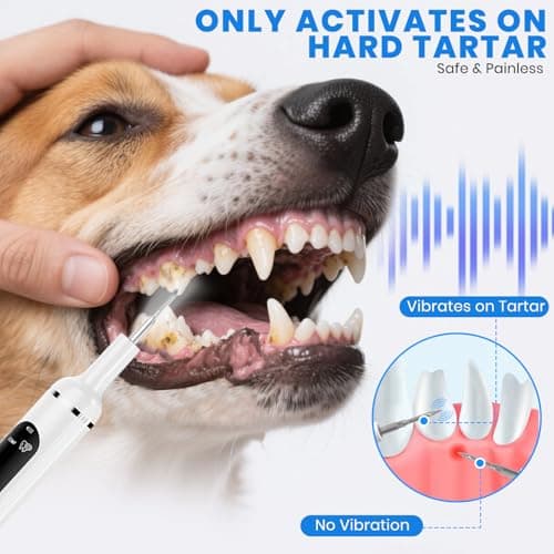 PATWING Pet Ultrasonic Tooth Cleaner,Dog Plaque Remover Tool,White - Thumbnail 2