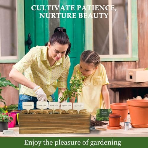 5 DIY Bonsai Tree Kit for Beginners, Complete Indoor Gardening Starter Kit with Seeds, Soils, Pots & Tools, Unique Birthday Gifts Ideas for Women, Men - Thumbnail 5