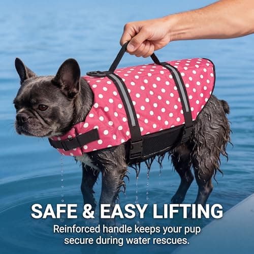 Doglay Dog Life Jacket with Rescue Handle, Dog Life Vest for Swimming Boating, Adjustable Reflective Puppy Swim Vest with Superior Buoyancy for Small Medium Large Dogs - Thumbnail 4