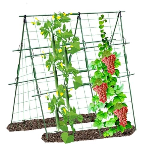 Foldable Cucumber Trellis for Garden - Adjustable Climbing Support for Vegetables, Vining Plants, Cucumbers, Tomatoes, and Peas - Heavy Duty, Weather-Resistant, Easy to Install - Image 1