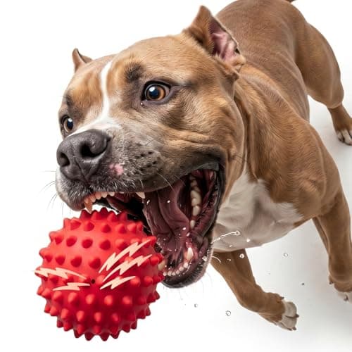 Apasiri Beef-Flavored Durable Dog Ball for Aggressive Chewers, Tough Squeaky Rubber Toy for Pitbulls Large & Medium Breeds