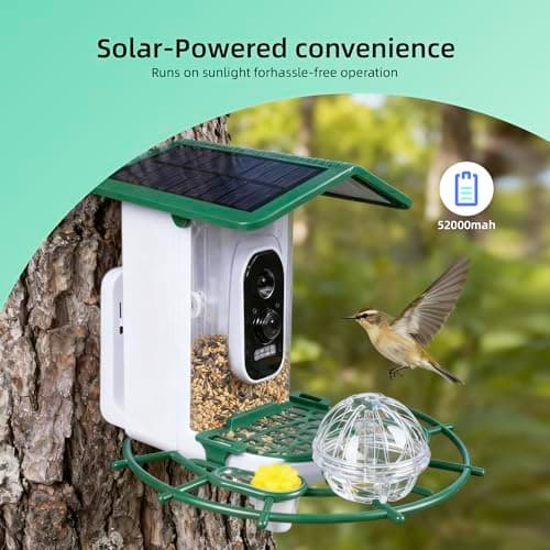 Bird Feeder with Camera,AI Identify Birds Species,Solar Powered with Rechargeable Battery,Auto Record Videos in Backyard,Instant Notifications,Ideal Gift for Family and Bird Lovers (Green) - Thumbnail 4