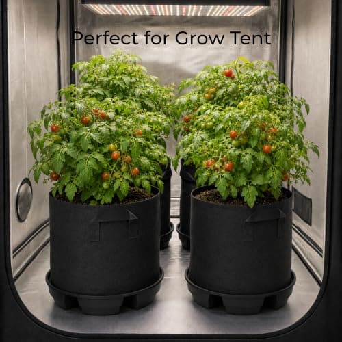 4Pcs Self-Watering Fabric Pot Base for 5 Gallon Grow Bag, 12.6" Self-Watering Pot Base Plant Saucer with Natural Hemp Rope, Auto-Irrigation System for Indoor Outdoor Greenhouses Grow Tents Gardens - Thumbnail 6