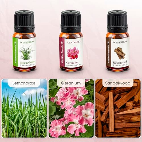 Essential Oils Set - 100% Pure & Natural Organic Essential Oil Gift Set (10ml/0.34fl.oz) Therapeutic Grade, Great for use in Aromatherapy, Diffuser, Humidifier, DIY Candle, Soap and Bath Bombs Making - Thumbnail 4