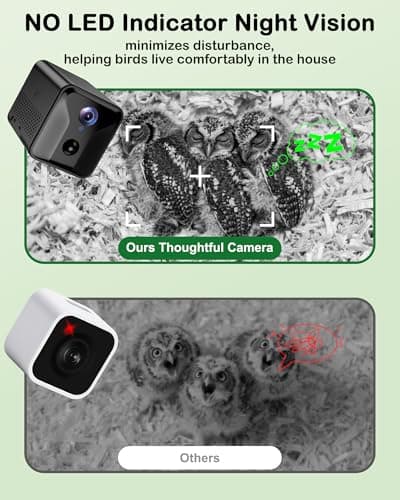 Owl Box with Camera Solar Powered,Large Pinewood Owls Nesting Box for Screech owl,4G Cellular,2K HD,Instant Alerts,Night Vision,APP Control,Nest Box for Outside（NOT WiFi） - Thumbnail 4