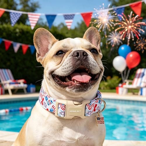 ARING PET 4th of July Dog Collar, Cute Patriotic American Flag Doggy Collars for Puppy Small Medium Large Boy Girl Dogs Pet, for Independence Parades Outdoor Walking Hiking Picnic Daily Photos, XS - Thumbnail 4