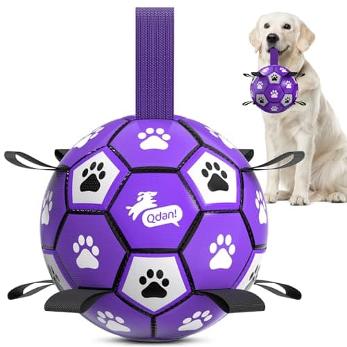 QDAN Soccer Ball for Dogs - Durable Large Dog Balls, Outdoor & Water Toy, Herding Ball, Puppy Birthday Gift (8 Inch)