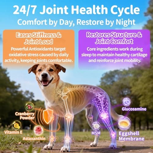 25-in-1 Dog Vitamins and Supplements - Day & Night 2 Pack - Dog Multivitamin Powder with Collagen, Glucosamine, Probiotics - Joint, Gut, Calm, Skin & Immune Support, Chicken Flavor, 150 Scoops - Thumbnail 4