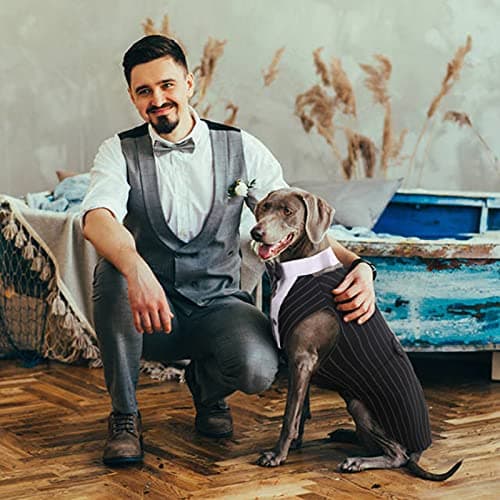 DORA BRIDAL Dog Tuxedo for Small Dogs,Dog Suit and Bowtie, Formal Dogs Wedding Outfit, Pet Tuxedo and Bandana Set Valentines Birthday Christmas Party Costumes for French Bulldog, Pomeranian, Striped,S - Thumbnail 6