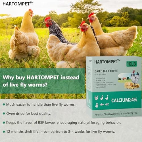 HARTOMPET Better Than Dried Mealworms for Chickens 10 lbs - 85X Calcium Than MealWorms - Non-GMO Chicken Feed Additive & Molting Supplement - black soldier fly larvae Treats for Hens, Ducks, Wild Bird - Thumbnail 3