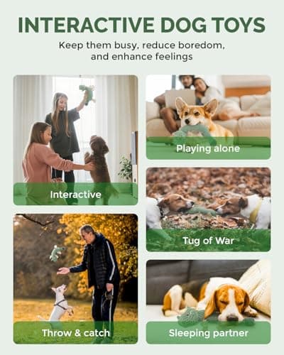 FoxFocus Durable Squeaky Dog Toys for Medium Dogs to Keep Them Busy, Green - Thumbnail 4