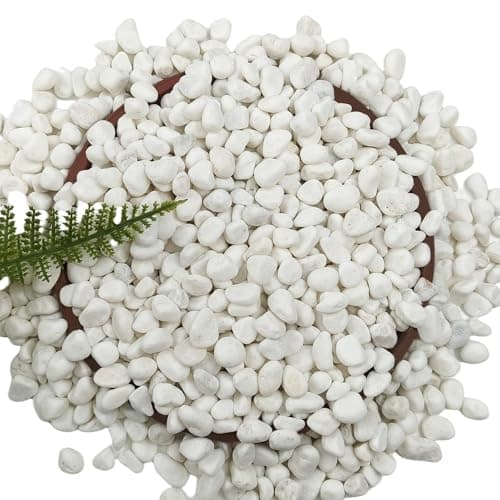 5 LB Natural White Gravel for Plants, Succulents & Cactus, Aquarium, Fish Tank, 0.6 inch Small White Pebbles for Vases, Rocks for Landscaping, Indoor Potted Plants, Garden and Home Decorative Stones - Image 1