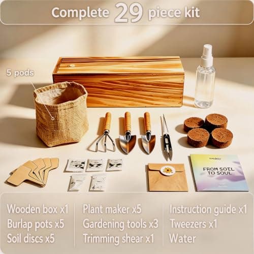 5 Herb Garden Kit, Wooden Box, Windowsill Basil Thyme Parsley Rosemary Mint - Thumbnail 3
