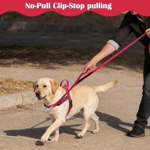 Annchwool No Pull Dog Harness with Front Clip and Easy Control Handle-Belly & Chest Adjustable Dog Harness and Leash Set for Medium Large Dogs-Heavy Duty Vest Harnesses Easy for Walking(Red,L) - Thumbnail 6