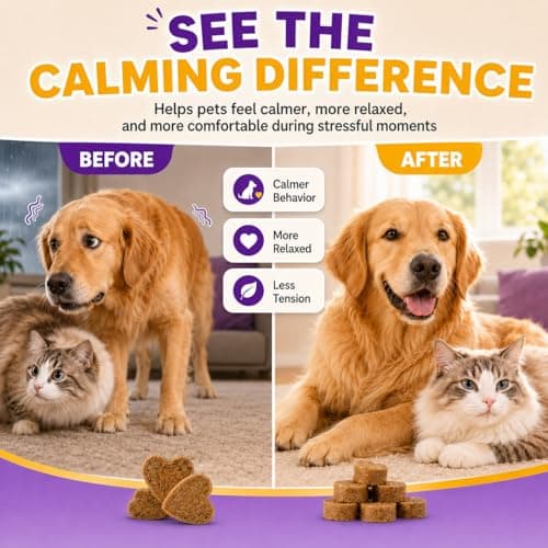 GJYC PET Calming Chews for Dogs & Cats – Anxiety Relief & Stress Support Supplement, Non-Drowsy Relaxation for Separation, Thunderstorms & Travel, Herbal Calming Formula, Chicken Flavor Soft Chews - Thumbnail 4