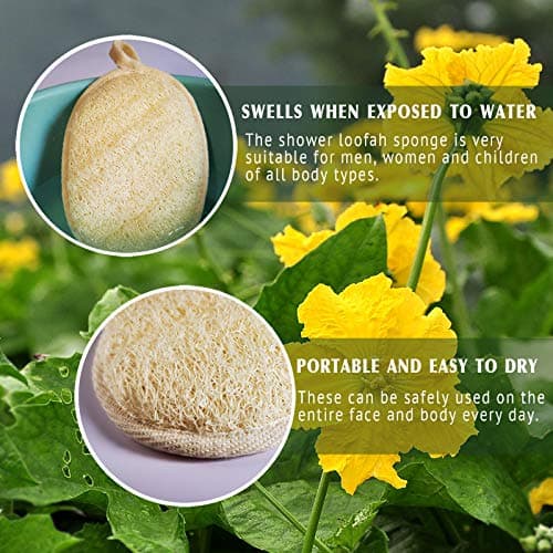 YIQINGJIE Natural Loofah Sponge Exfoliating Body Scrubber (3 Pack),Made with Eco-Friendly and Biodegradable Shower Luffa Sponge, Loofah for Women and Men, Beige - Thumbnail 4