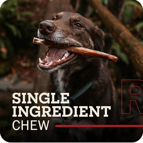 Redbarn Pet Products All Natural 5"-8" Bully Sticks for Small & Large Dogs - Healthy Long Lasting Chews Variety Party Pack - 100% Beef Single Ingredient Low Odor Rawhide Free Dental Treats - 8 oz Bag - Thumbnail 2