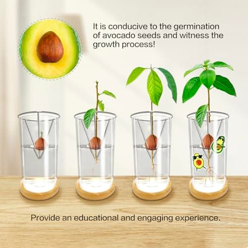KONIDUN Avocado Seed Starter Vase - Avocado Tree Growing Kit with Base and Sticker, Glass Avocado Pit Sprouting Plant Pot Gift for Women, Gardening Lovers Home Office Table Decoration, Indoor No Seed - Thumbnail 4