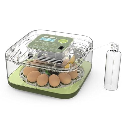 12 Egg Incubator for Hatching Eggs with Automatic Turning, Temperature & Humidity Display, Egg Candler, and Hatch Day Alert - Ideal for Chicken, Duck, and Quail Eggs - Image 1