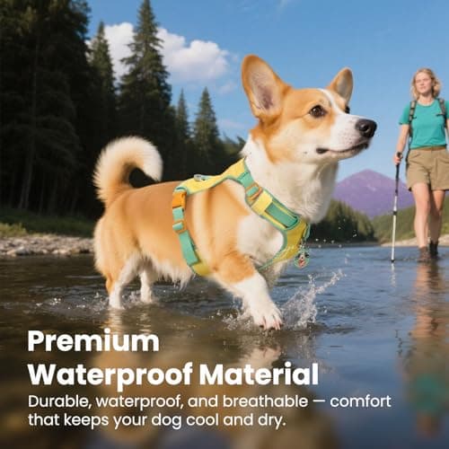 No Pull Dog Harness for Medium & Large Dogs, Lightweight Escape Proof Adjustable Dog Harness with Pocket, Front & Back Clip, Reflective Soft Vest with ID Tag, for Running Walking, Yellow - Thumbnail 4