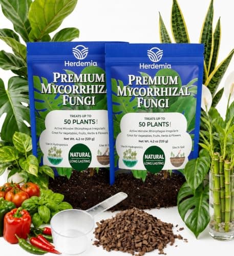 Mycorrhizal Fungi - Organic Root Stimulator & Soil Activator | Pure Concentrated Mycorrhizae Inoculant for Outdoor & Indoor House Plants, Mycorrhizal for Tomato, Flowers, Fiddle Leaf Fig, Monstera