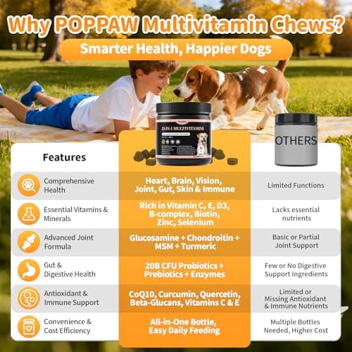 POPPAW 25-in-1 Dog Multivitamin Chews – All-in-One Daily Vitamins & Supplements for Dogs, Joint Support with Glucosamine MSM, Omega-3 Skin & Coat, Gut, Heart & Brain, All Breeds & Ages, Beef, 90Ct - Thumbnail 5
