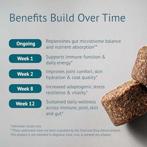 VetsLeaf Dog Multivitamin Chews - Glucosamine, Probiotics, Salmon Oil, Mushroom Blend & Ashwagandha - Daily Dog Vitamins for Immune, Joint, Skin, Gut and Energy Support - Made in USA - 60 Count - Thumbnail 3