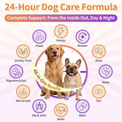 25-in-1 Dog Vitamins and Supplements - Day & Night 2 Pack - Dog Multivitamin Powder with Collagen, Glucosamine, Probiotics - Joint, Gut, Calm, Skin & Immune Support, Chicken Flavor, 150 Scoops - Thumbnail 2