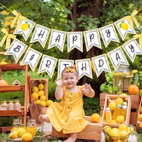 JarThenaAMCS 2 Pcs Lemon Happy Birthday Banner 3D Yellow Blue Chinoiserie Lemon Birthday Paper Banner with Ribbon Bow Pre-Assembled Hanging Garland for Summer Lemon Birthday Party Decoration - Thumbnail 3