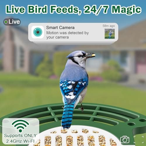 Jarkyfine Smart Bird Feeder with Camera Solar Powered - AI Bird Identification, 2.4Ghz WiFi, 2K HD Video Live Stream Camera, 3MP Photos, 2.9in Focus, Gifts for Mom Dad Birdlovers, Green - Thumbnail 4