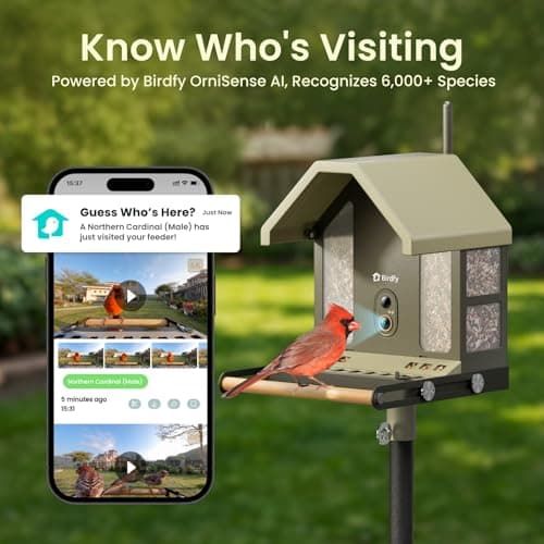 Birdfy Smart Bird Feeder with Camera, 4K UHD Video, Dual-Band 2.4/5GHz Wi-Fi, Solar Powered, AI Identification Lifetime Free, Bird Watching Gift for Bird Lovers - Thumbnail 6