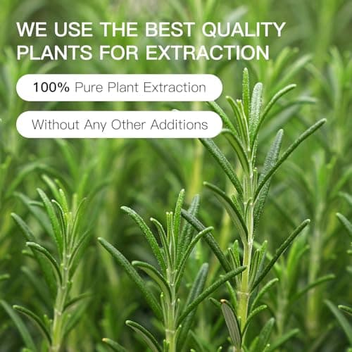 QONG Rosemary Essential Oil Blend, Rosemary Oil, Can be Used for, Hair, Skin, Nails, Aromatherapy Oil& Diffuser Essential Oils- 10ML - Thumbnail 4
