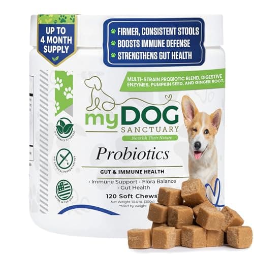 My Dog Sanctuary Probiotics for Dogs 120 Chews - Digestive Enzymes & Gut Health Support with Pumpkin Seed, Ginger Root – Dog Probiotics for Diarrhea, Bowel & Immune Support - Bacon Flavor, Soft Chews