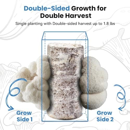 USA Organic 4lbs Lion's Mane Mushroom Growing Kit, Non-GMO - Thumbnail 3