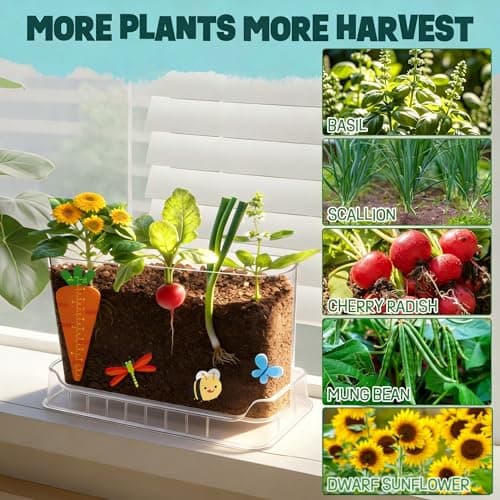 Root Viewer Kit for Kids - Science STEM Toys with Fun Stickers & Storybook, Craft Planting Kits for Ages 4-12, Birthday Gifts for Girls & Boys 4 5 6 7 8 9 10 Year Old(A Size) - Thumbnail 6