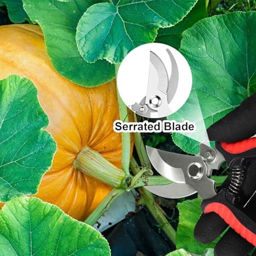 4 Pack Garden Shears Scissors,Pruning Shears, pruning shears for gardening Stainless Steel Blades, Gardening Clippers Hand Pruner With a Gardening Gloves((Red Yellow Blue Orange) - Thumbnail 6