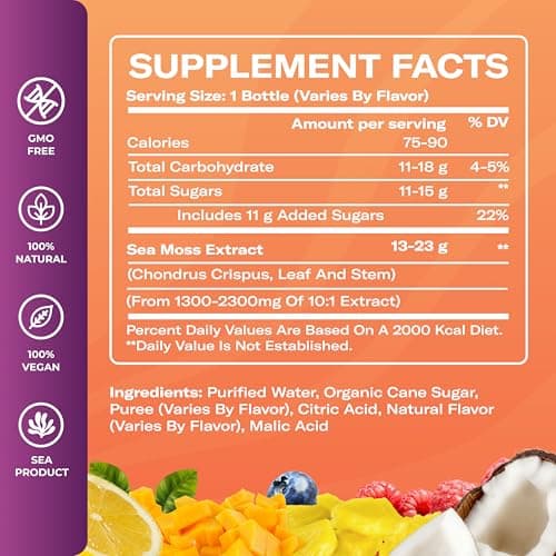 Sea Moss Lemonade Variety Pack – 4 Flavors Sampler: Lemon, Mango with electrolyte, Berry, Pina Colada – Vegan Hydration Drink – 4 x 12 fl oz Bottles – Made in USA - Thumbnail 2