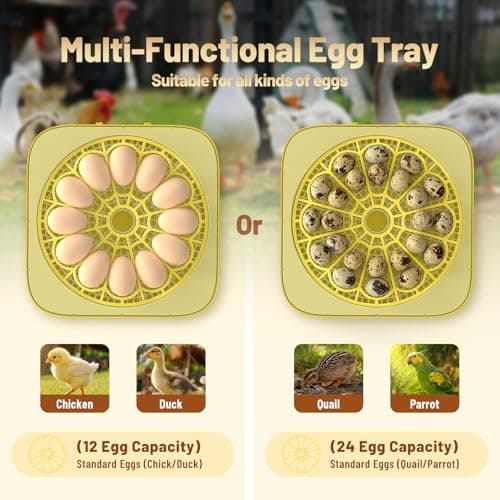 Incubator for Hatching Eggs, 12 Eggs Incubator with Automatic Egg Turning, Temperature & Humidity Control, LED Egg Candler, Incubation Days Display, for Chicken, Duck, Quail, Parrot Bird Eggs - Thumbnail 5